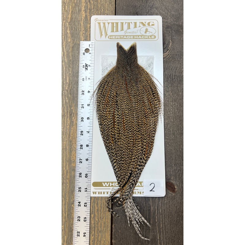 Whiting Heritage Cape Grade #1 – #02