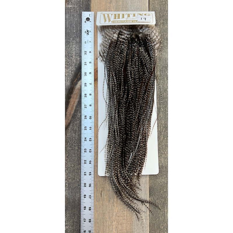 Whiting Heritage Saddle Grade #3 – #19