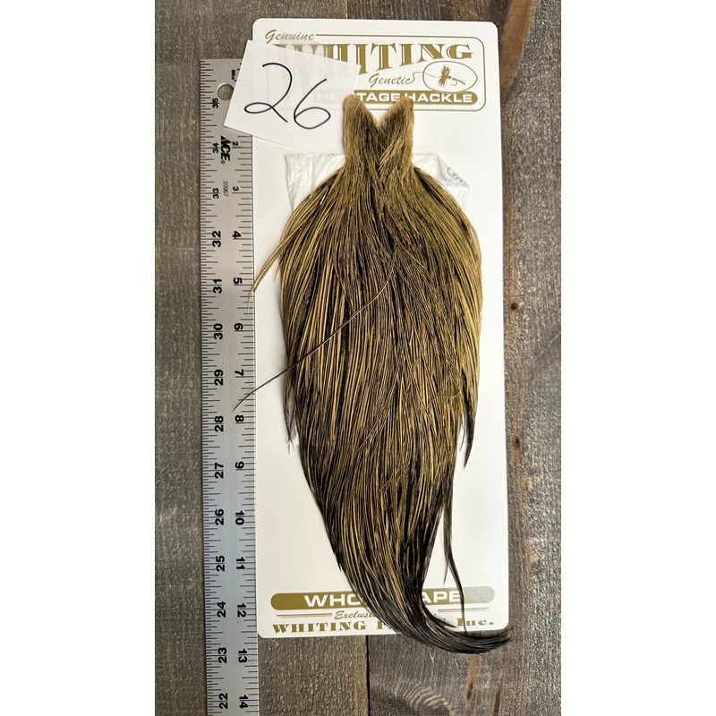 Whiting Heritage Cape Grade #1 – #26