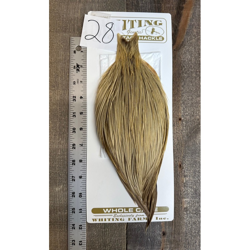 Whiting Heritage Cape Grade #1 – #28