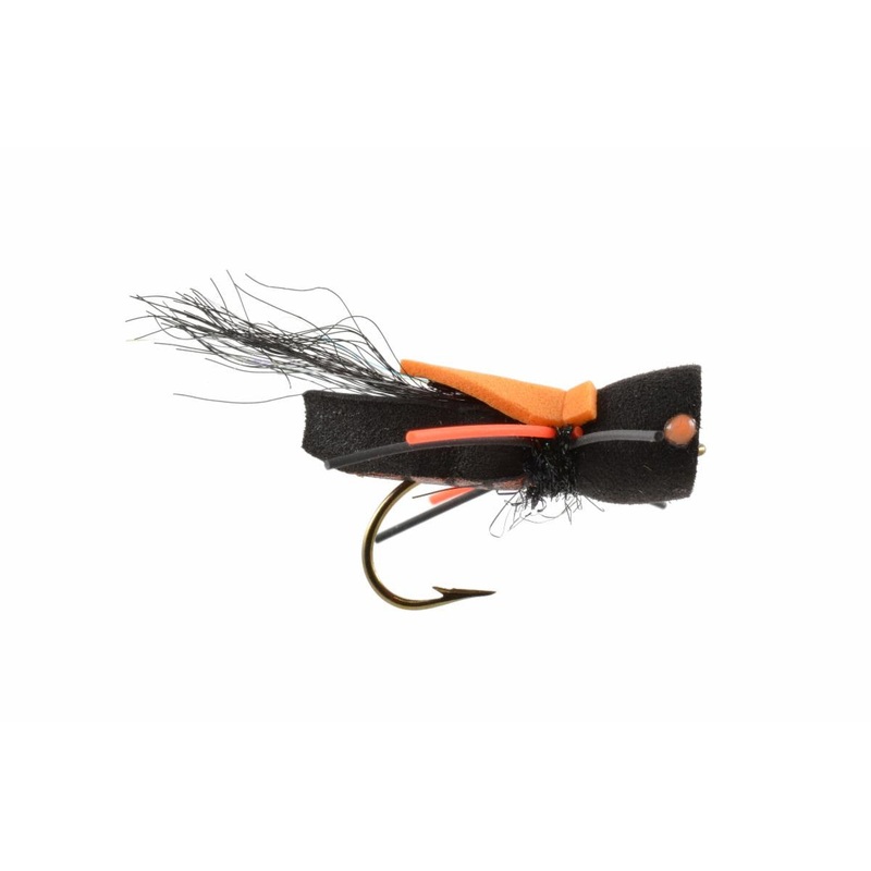 Mason’s Pop-Cada|6|8|10