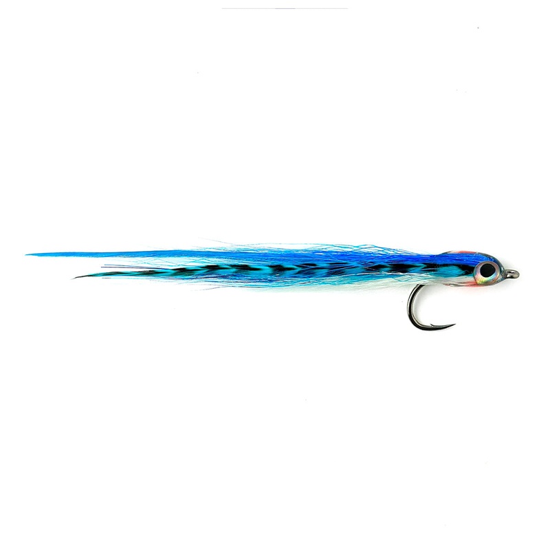 Mini Flatwing Candy – Blue|Size 6