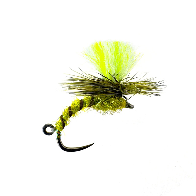 OLIVE KLINK & DINK|Size 12