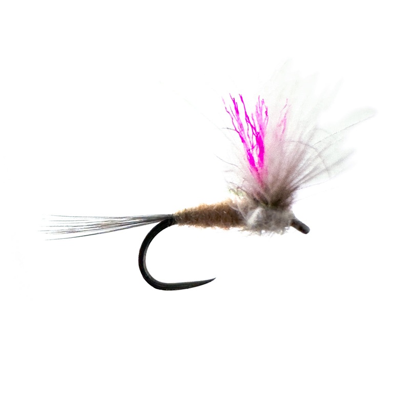 SPANISH DUN – BAETIS PINK|SIZE 18