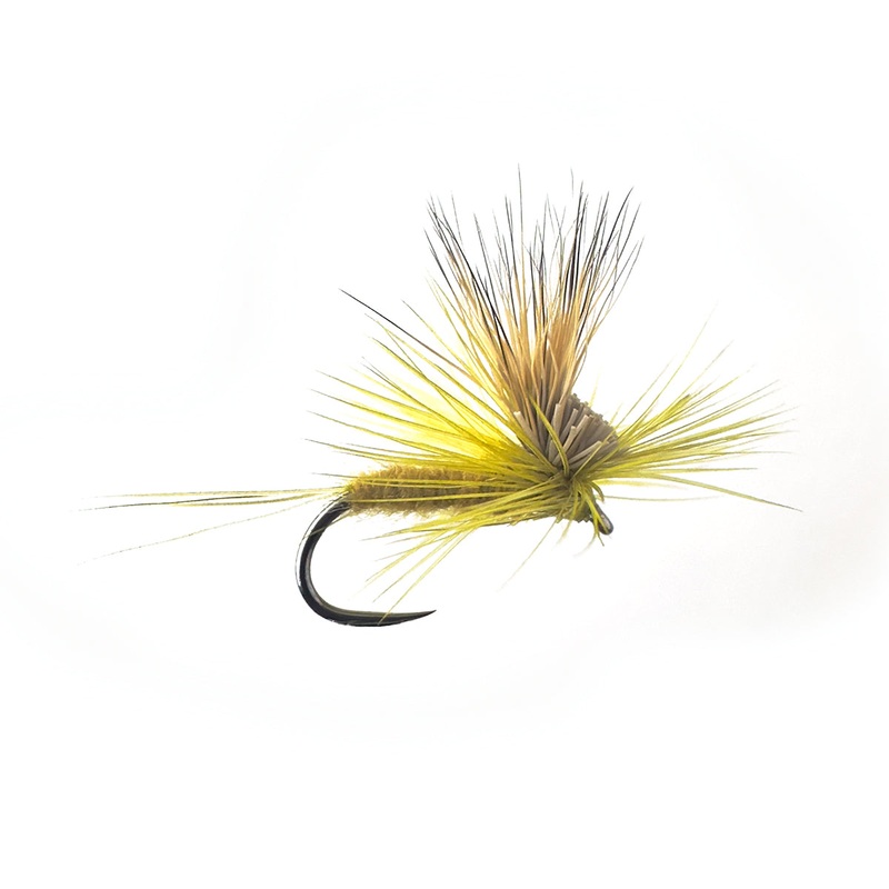 TILT WING DUN – OLIVE DUN|SIZE 16|Size 18