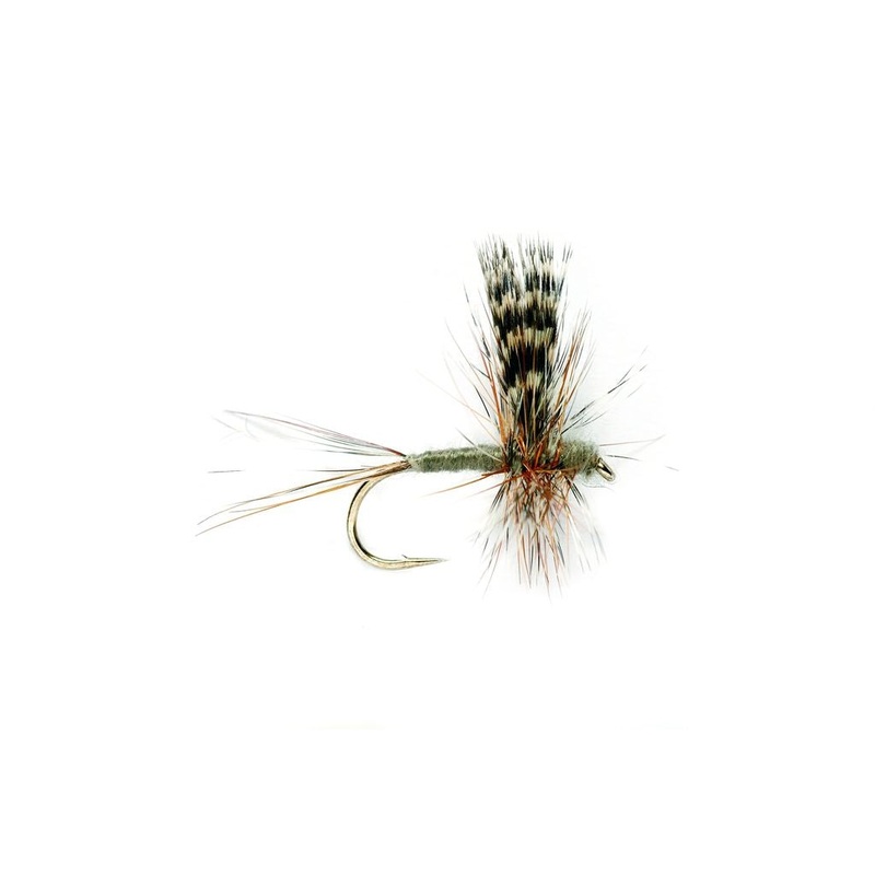 ADAMS THORAX|16