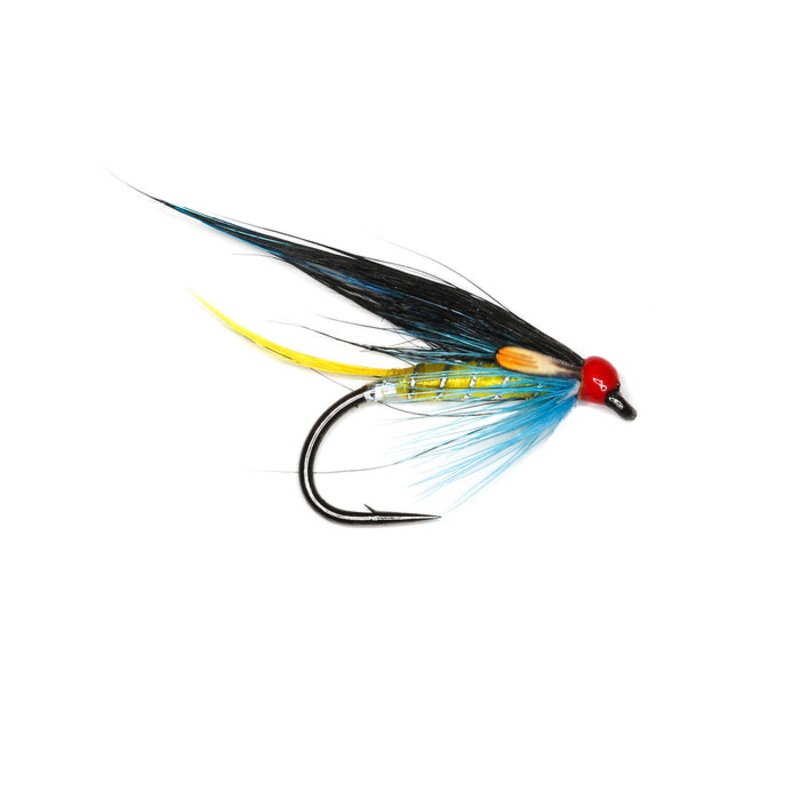 ARNDILLY FANCY|Size 10
