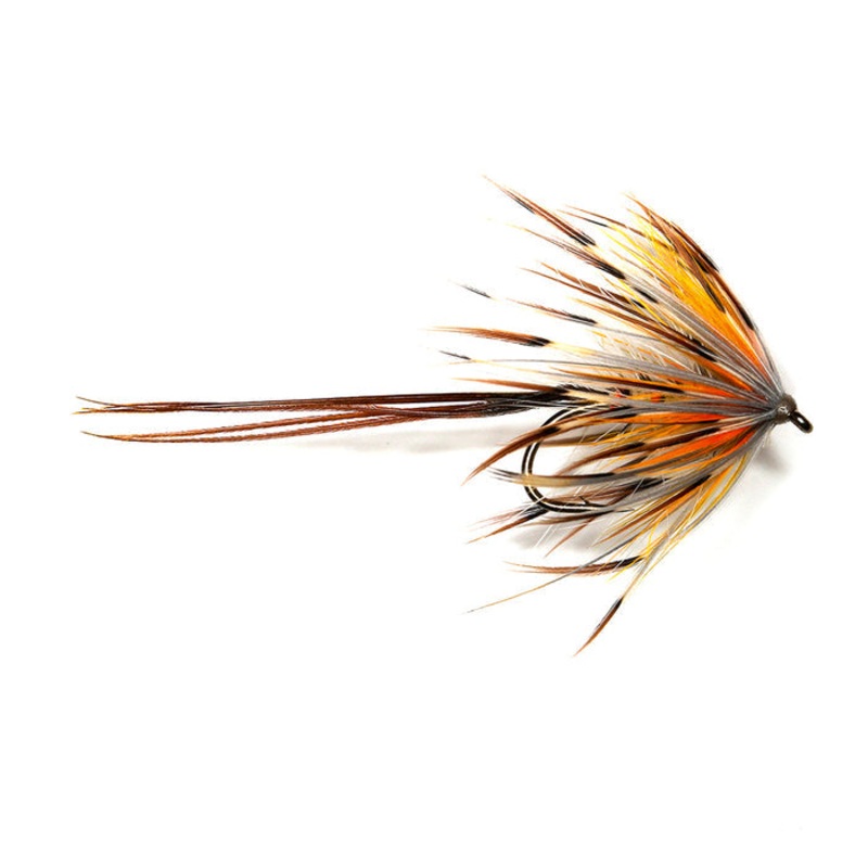 DAYBREAK MAY – COPPER OLIVE|Size 10