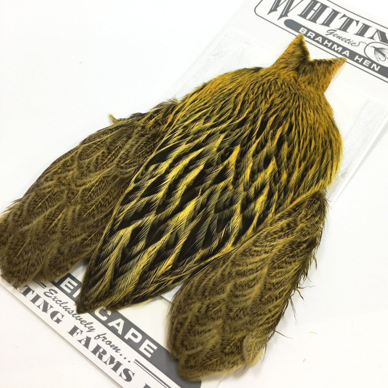 Whiting Brahma Hen Cape|Badger dyed Golden Olive