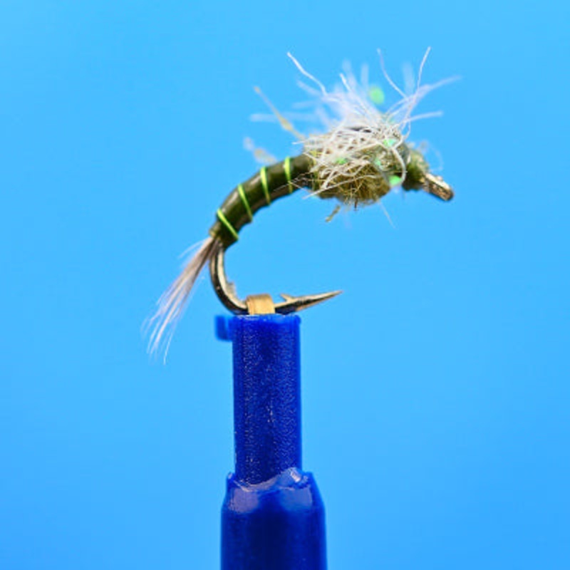 Darth Baetis Olive|14|16|18|20