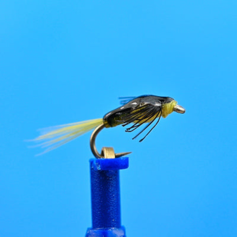 Day Saver Baetis|16|18|20|22