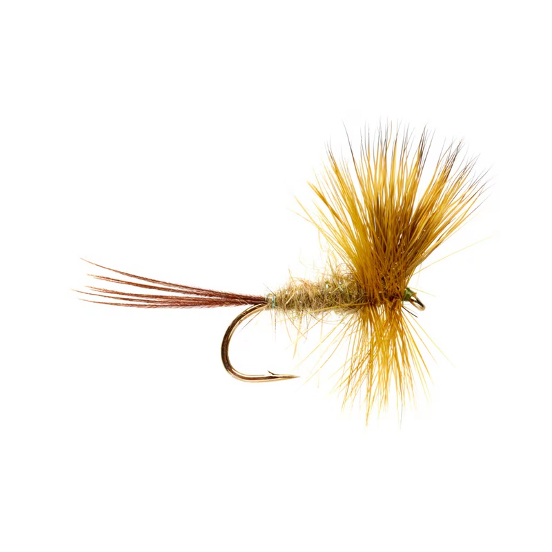 JACKIE’S ARROW GREEN MAYFLY|Size 10