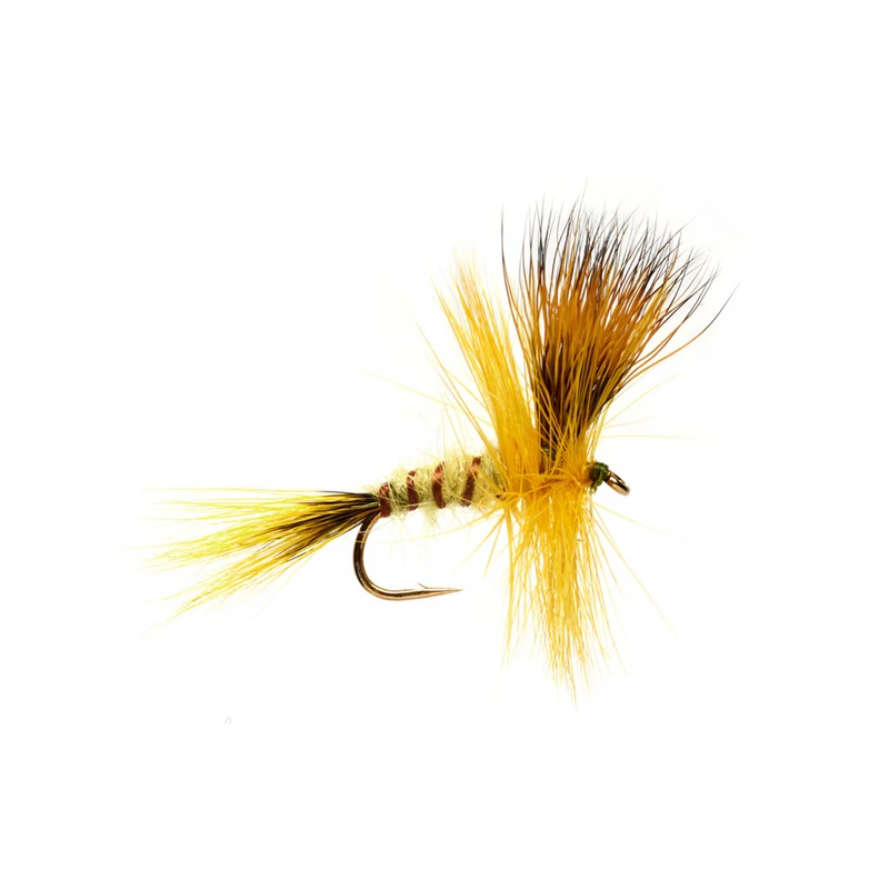 JACKIE’S YELLOW MAY|Size 10