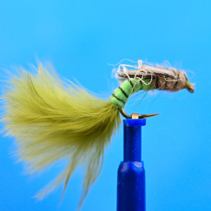 Jumbo Caddis Chartreuse|10|12|14