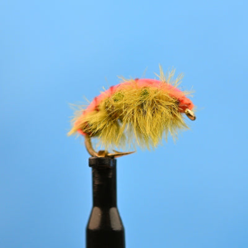 Scud Olive|12|14|16|18