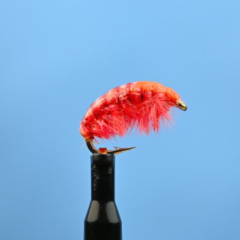 Scud Orange|12|14|16|18