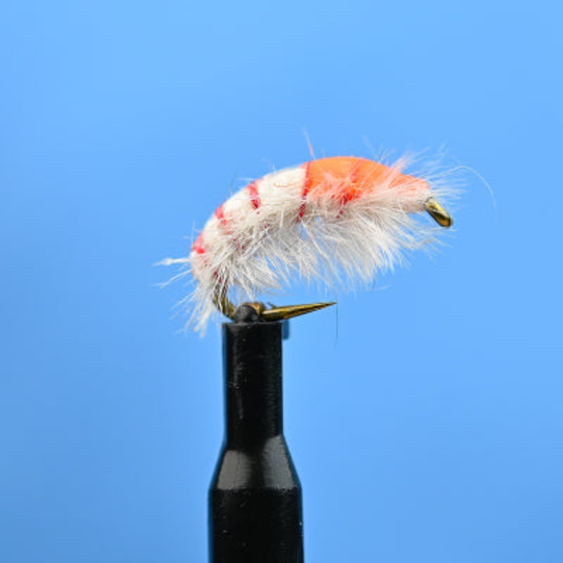 Scud White|12|14|16|18