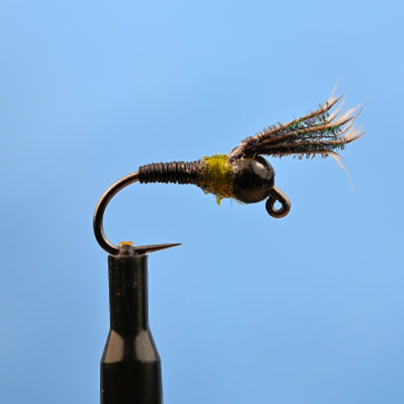 Tungsten Bead Caddis Larva black
