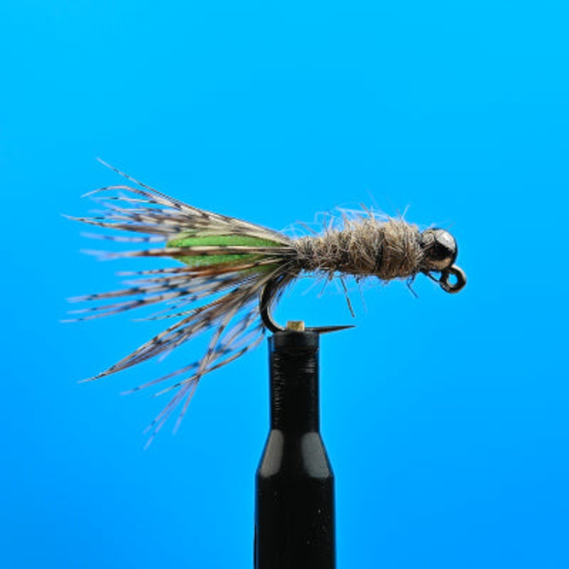 Tungsten Peeping Caddis|12|14|16