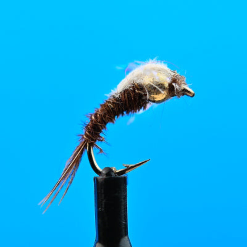 Tungsten PMD|12|14|16|18