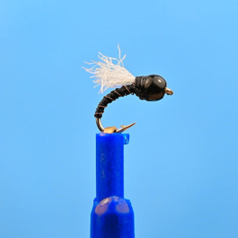 Tungsten RS 2 Black|18|20|22