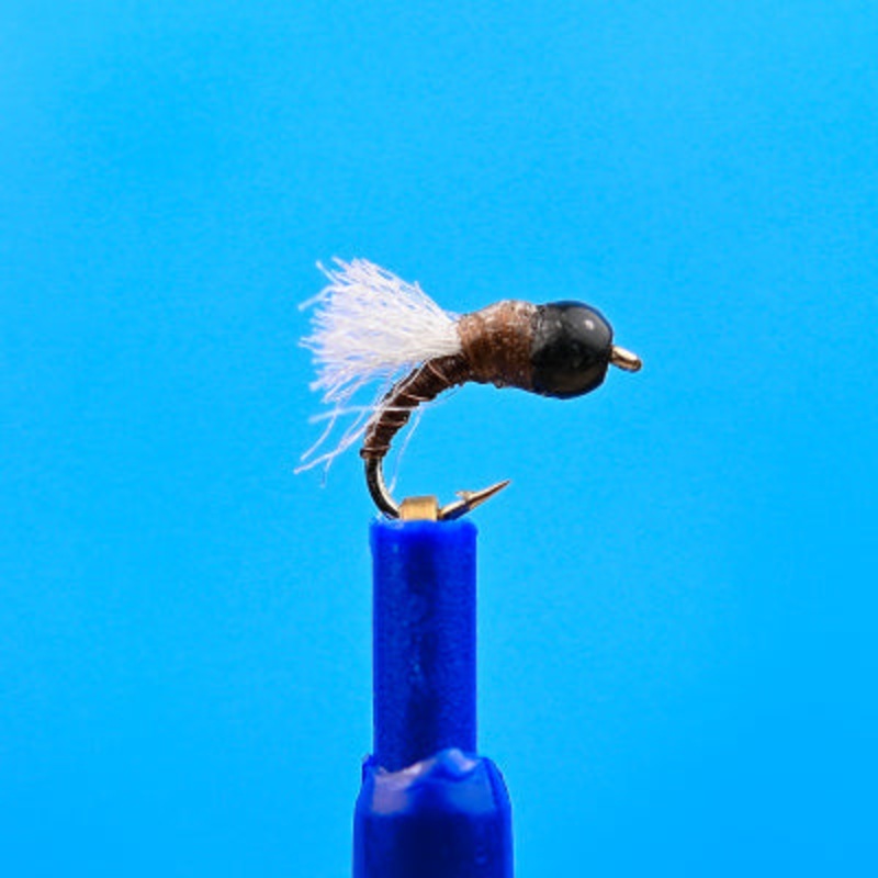 Tungsten RS 2 Brown|18|20|22