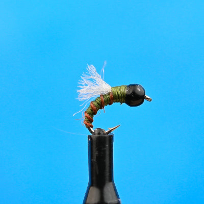 Tungsten RS 2 olive|18|20|22