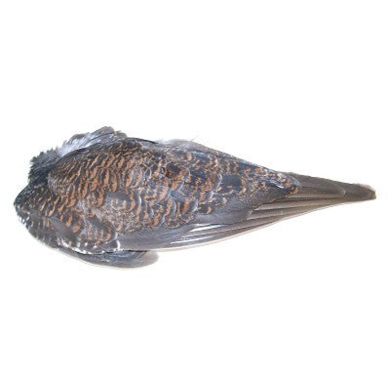 Veniard Grouse Wings