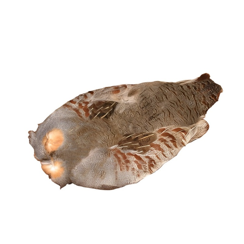 Hareline Hungarian Partridge Full Skin