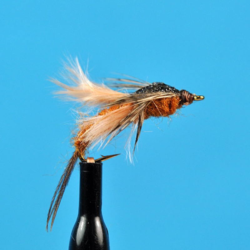 Poxyback bwo|12|14|16|18