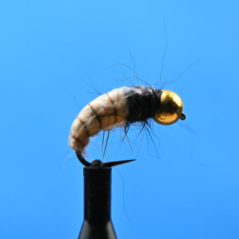 Tungsten Czech Tan|12|14|16|18