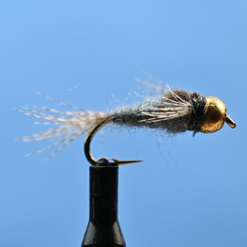 Tungsten Hendrickson|12|14|16|18