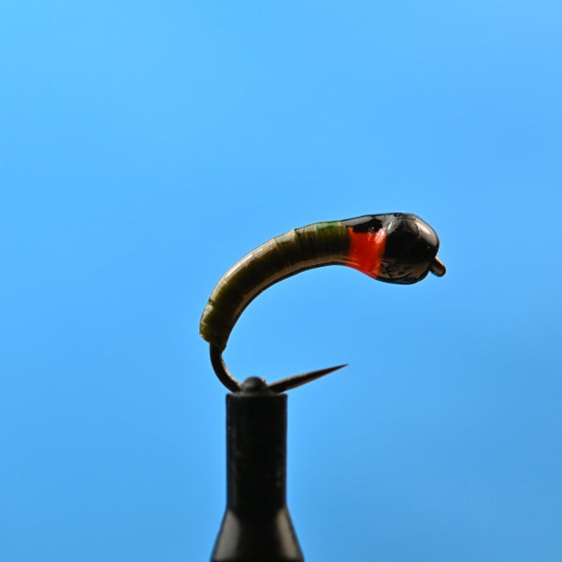 Tungsten Larva Olive Spot|12|14|16|18