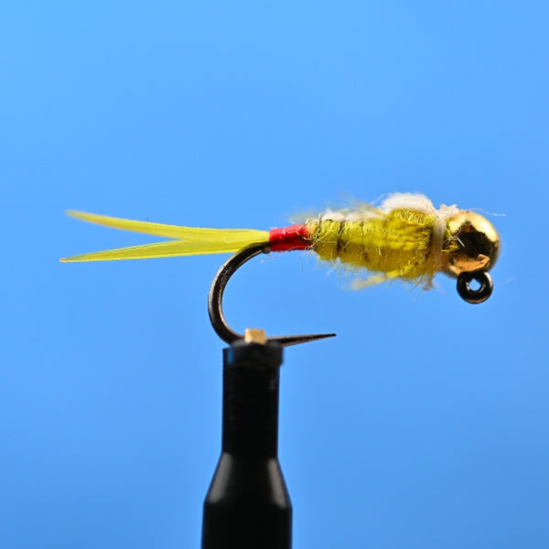 Tungsten Yellow Sally|12|14|16|18