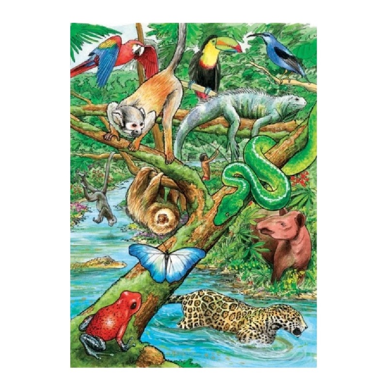 Cobble Hill Tray Puzzle|Life in the Tropical Rainforest
