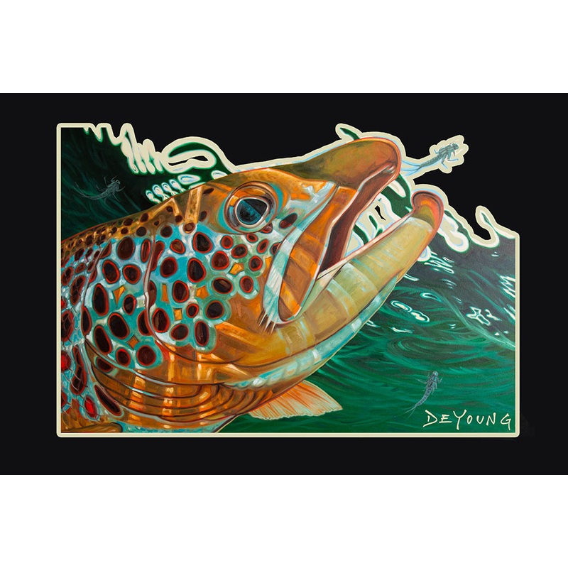 Deyoung Brown Callibaetis Decal