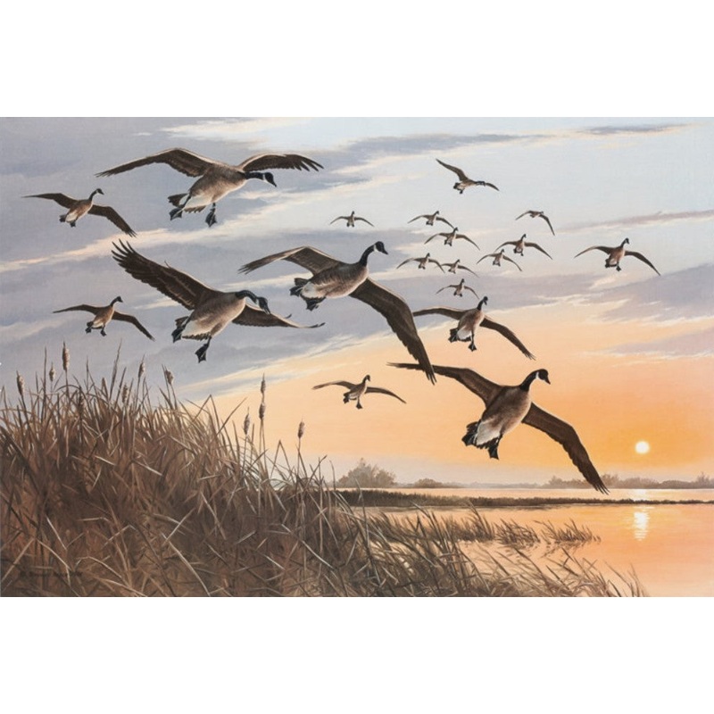 Maynard Reece – Sunset Canada Geese – Fine Art Print