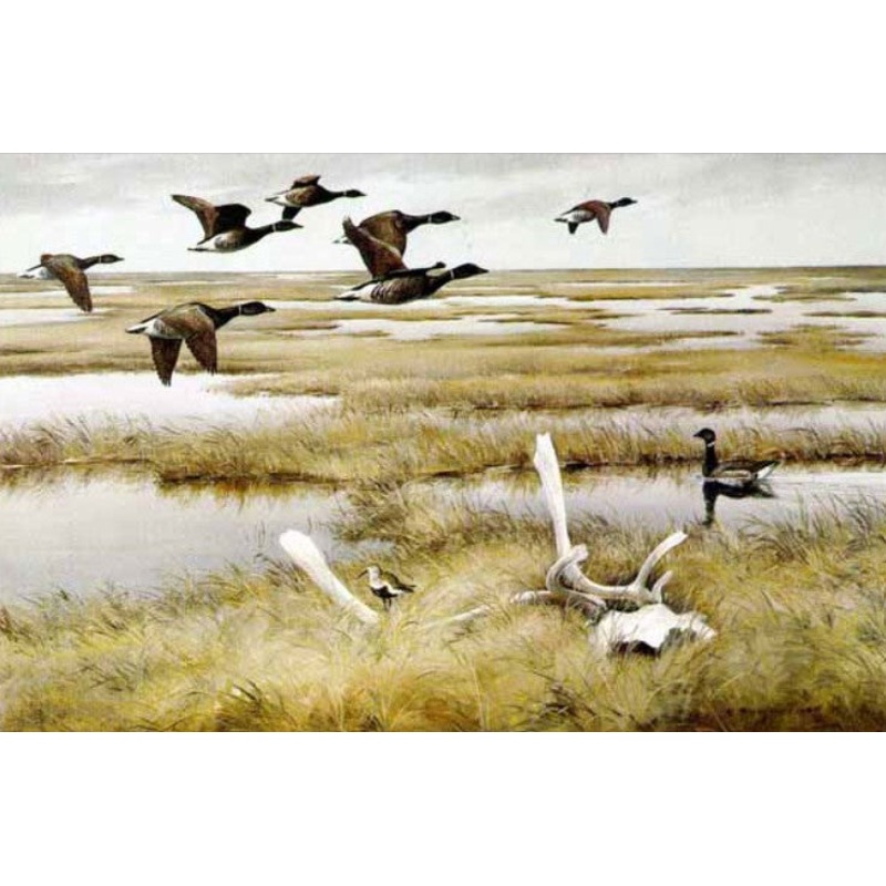 Maynard Reece – Tundra Black Brant – Fine Art Print