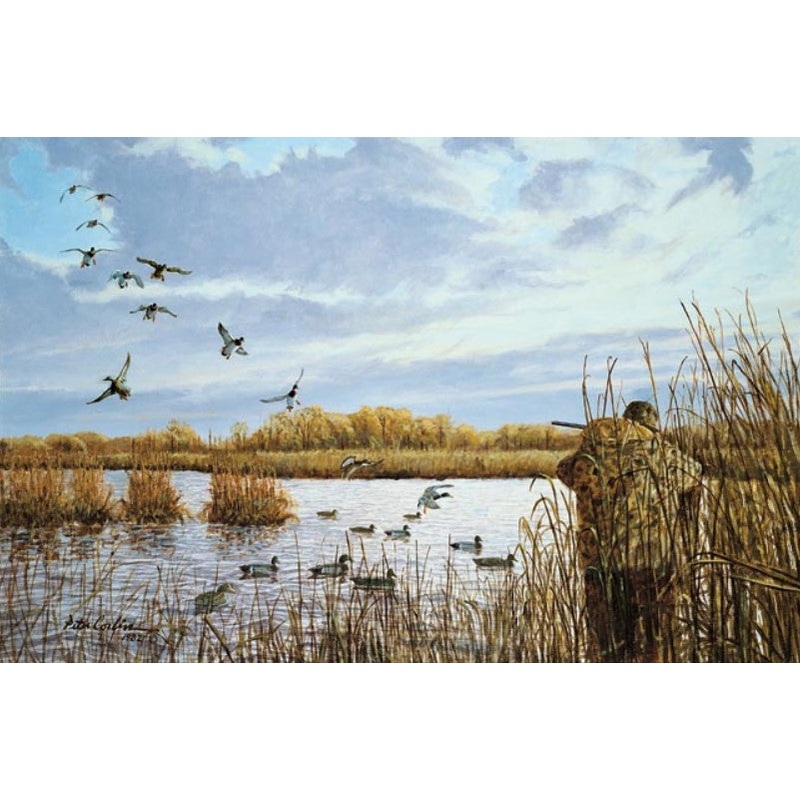 Peter Corbin – Totally Committed – Fine Art Print