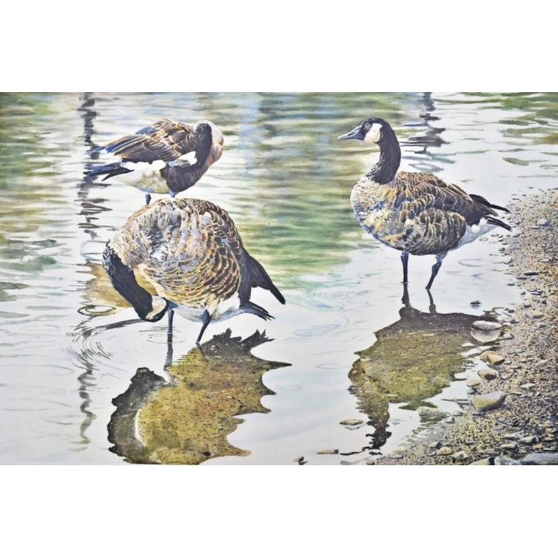 Scott Woolever – Water’s Edge – Fine Art Print