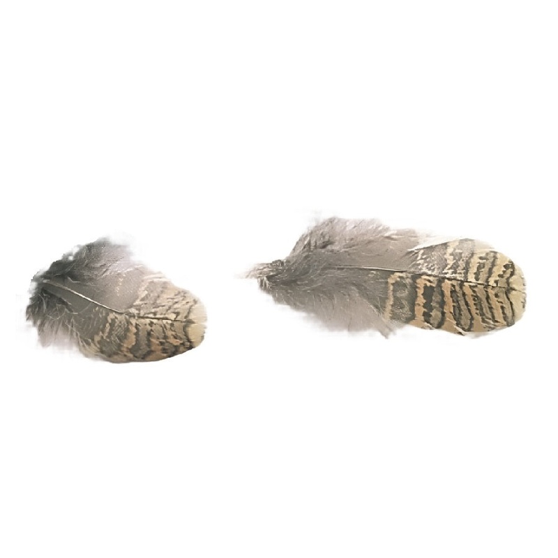 Veniard Woodcock Body Plumage|Natural