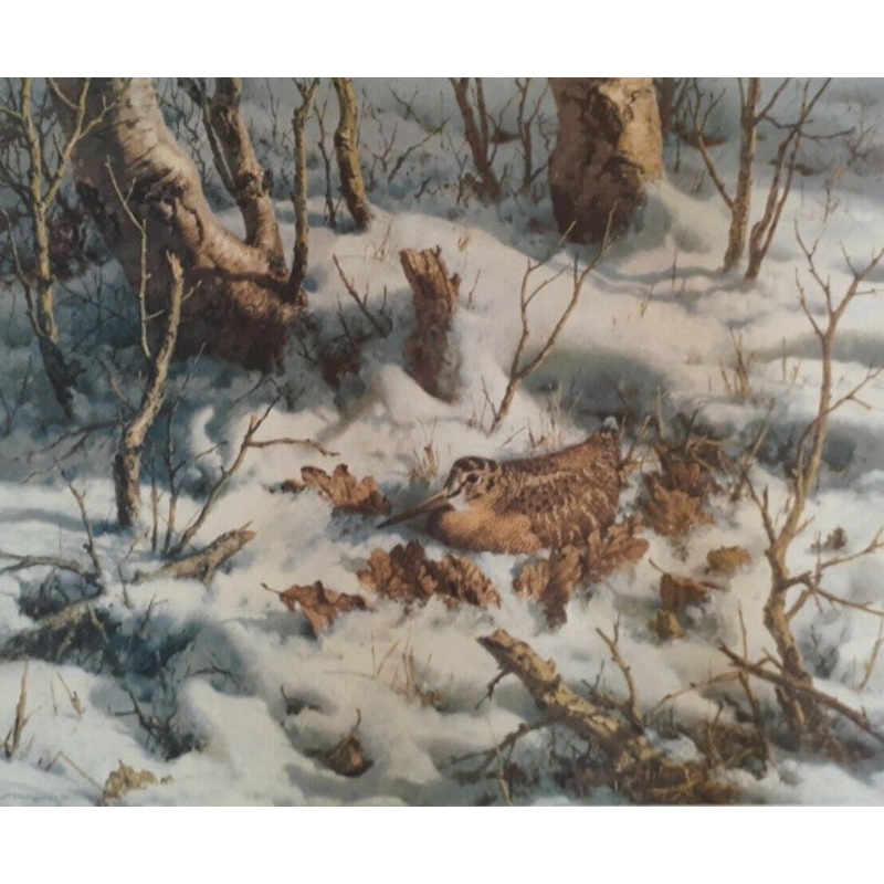 William Hollywood – Winter Woodcock – Fine Art Print