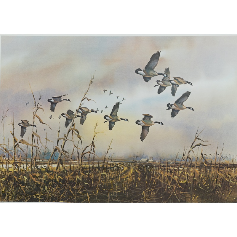 Gregory F. Messier – Over the Stubble Canada Geese – Fine Art Print