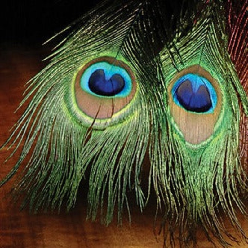 H&H Natural Peacock Eyes|One Size