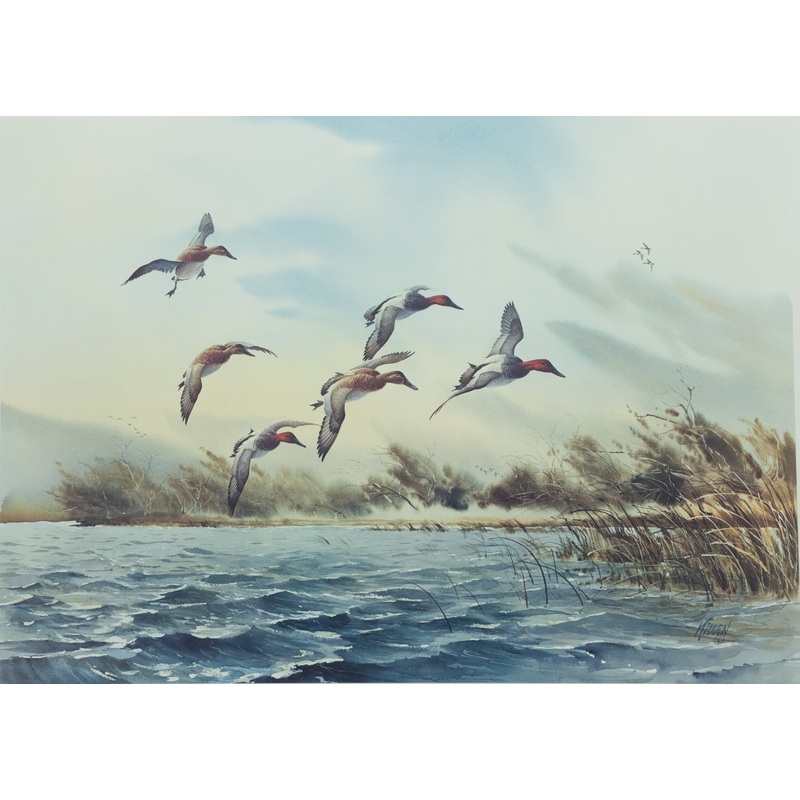 James Killen – Pitching In Canvasbacks – Fine Art Print