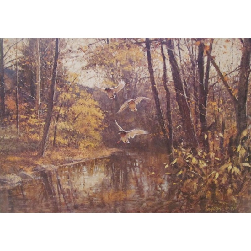 Robert K. Abbett – Mallard Hideaway – Fine Art Print