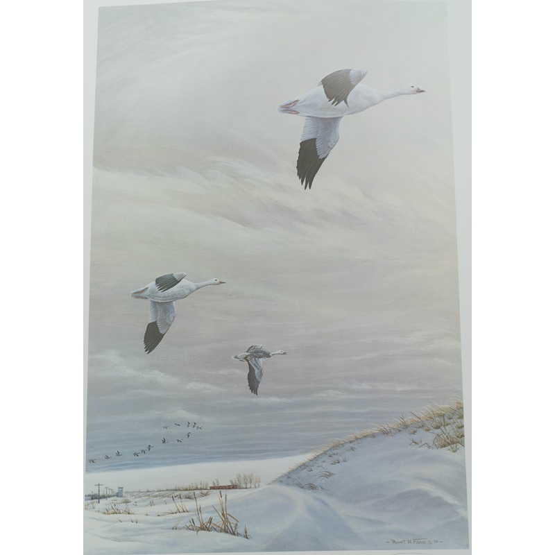 Robert M. Fisher – Snow Geese – Fine Art Print