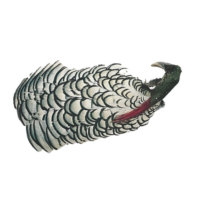 Veniard Select Premium Lady Amherst Head and Neck