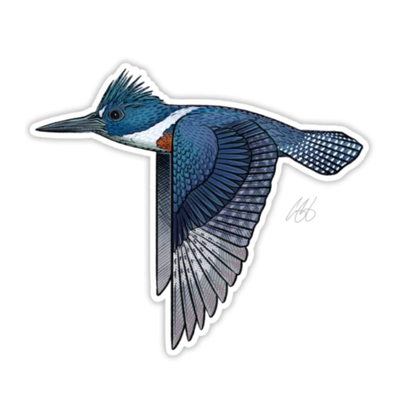 Casey Underwood Kingfisher Decal
