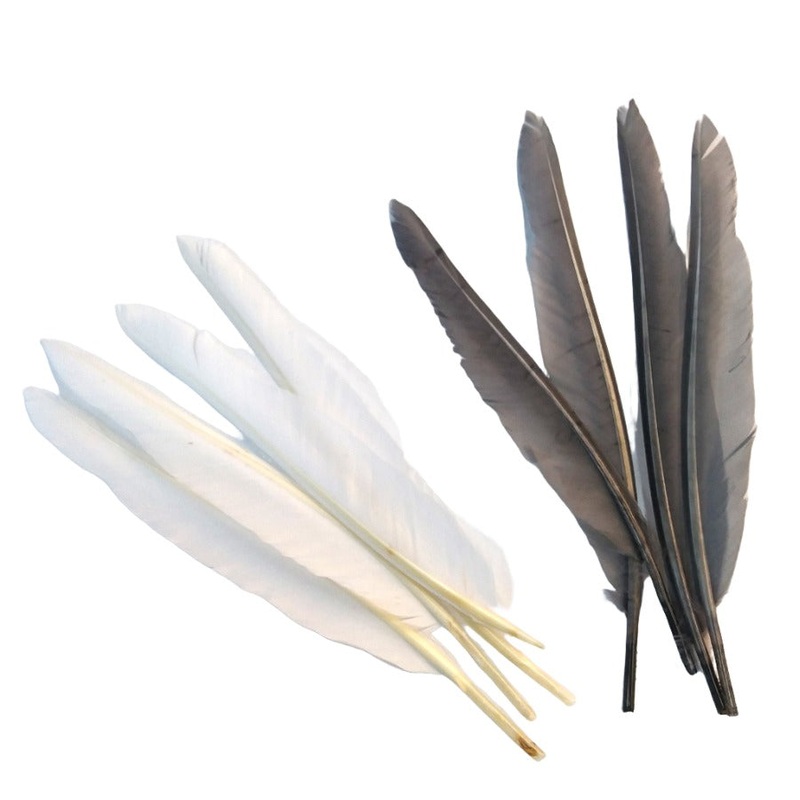 H&H Duck Quills Premium Matched Pair